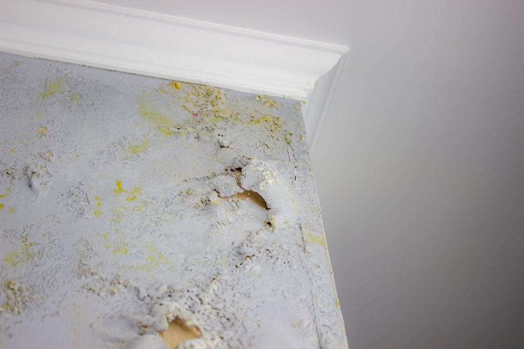 mold cleaning haven and human dubai abu dhabi
